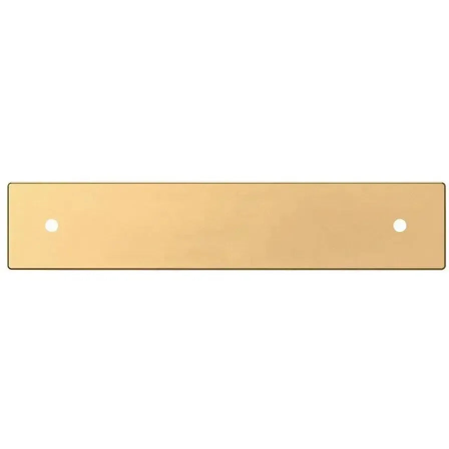 Baldwin Contemporary Back Plate in Lifetime Polished Brass finish