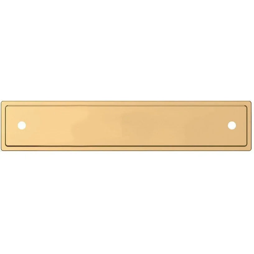 Baldwin Transitional Back Plate Lifetime Polished Brass