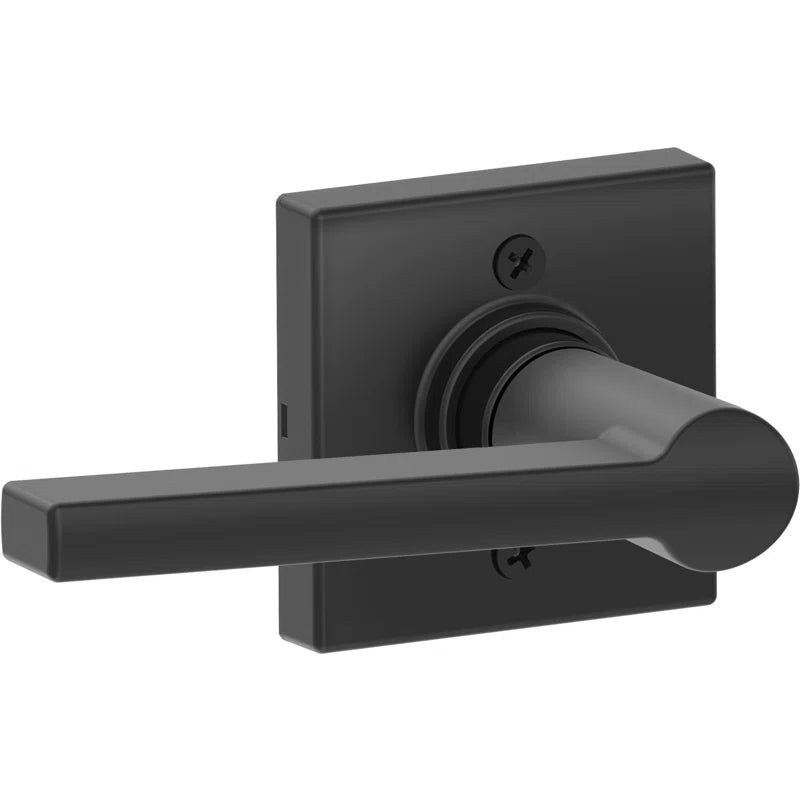 Schlage J Dexter Series Solstice Lever with Collins Rosette