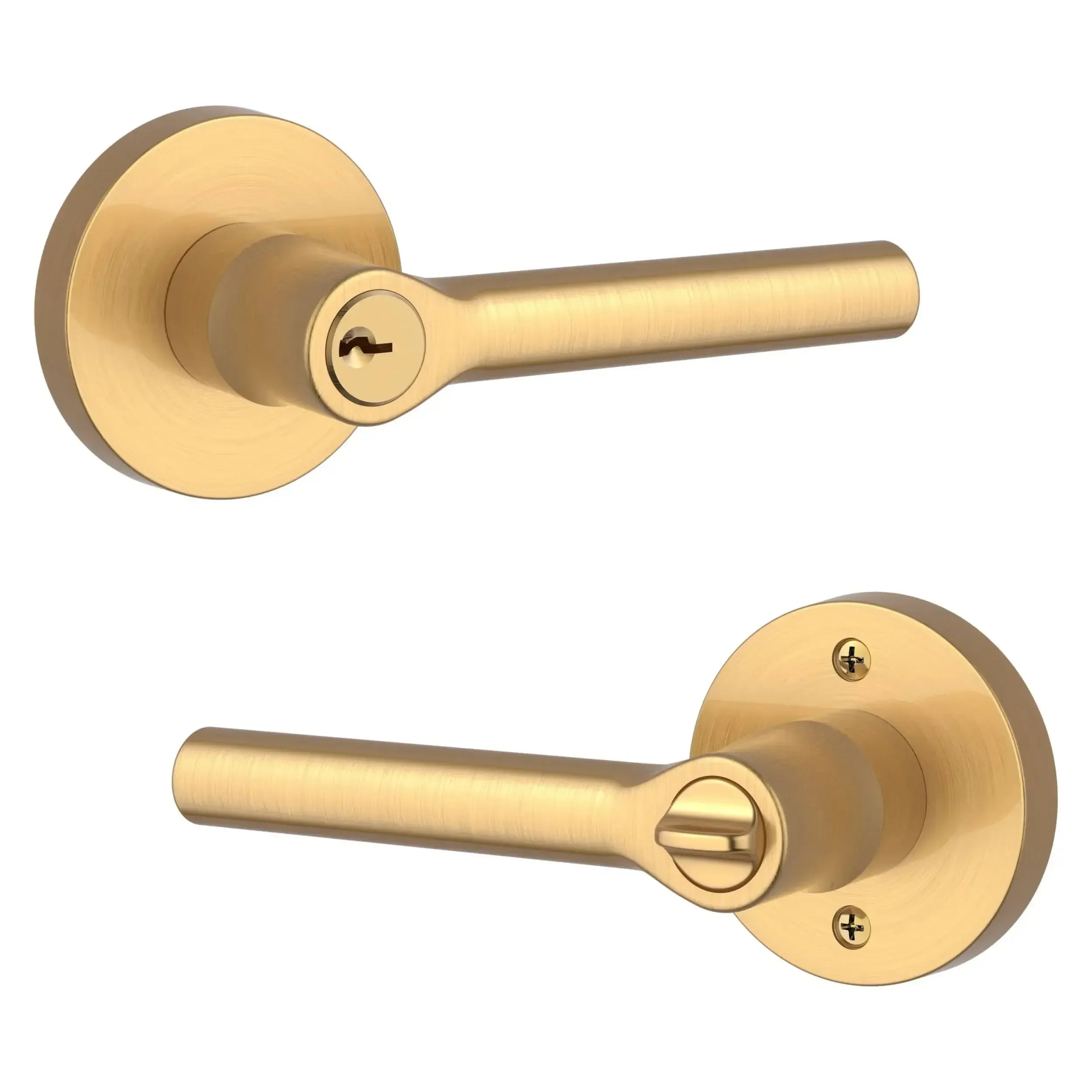 Baldwin ReserveBaldwin Tube Lever with Contemporary Round Rosette in 