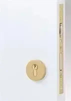 EmtekEmtek Round European Mortise Deadbolt with Integrated Roller Latch in 