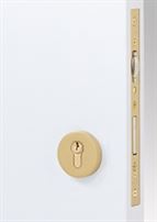 Emtek Round European Mortise Deadbolt with Integrated Roller Latch in Satin Brass Stainless Steel finish