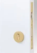 Emtek Round European Mortise Deadbolt with Integrated Roller Latch in Satin Brass Stainless Steel finish